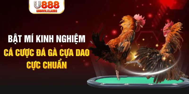 f8bet7 trong baccarat, ai là người chia bài chính？
