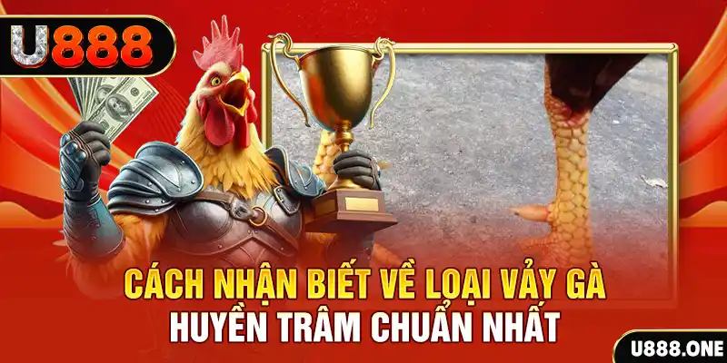 f8bet7 Chú hề Patty tuổi teen