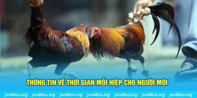 f8bet7 Long Hổ 2