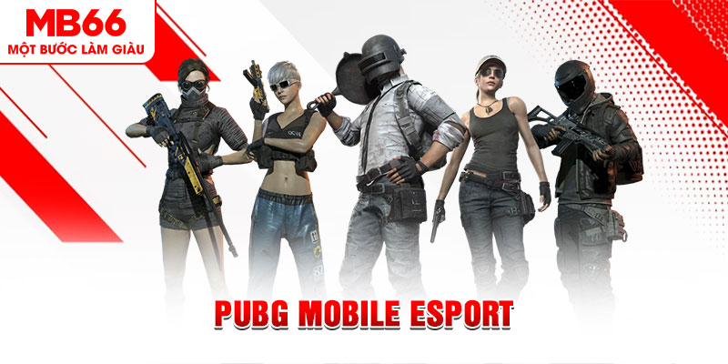 f8bet7 gà chọi c1 mới nhất