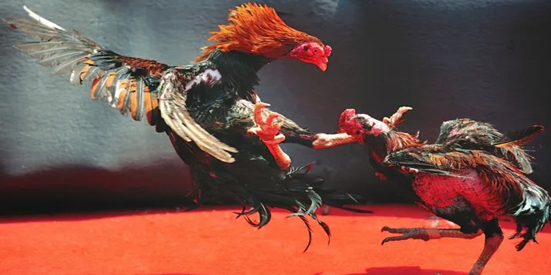 f8bet7 đăng nhập nổ hũ số 1