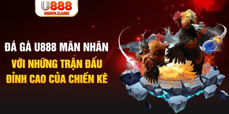 f8bet7 kết quả xổ số miền bắc ngày hôm nay