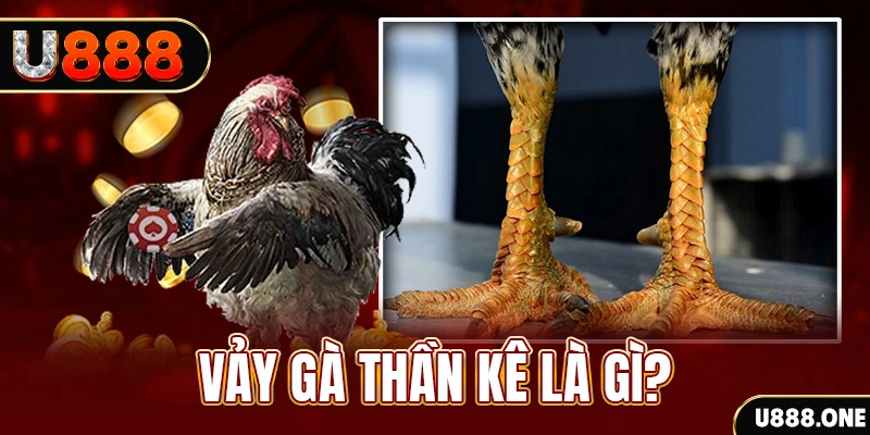 f8bet7 xổ số miền bắc thứ tư hàng tuần