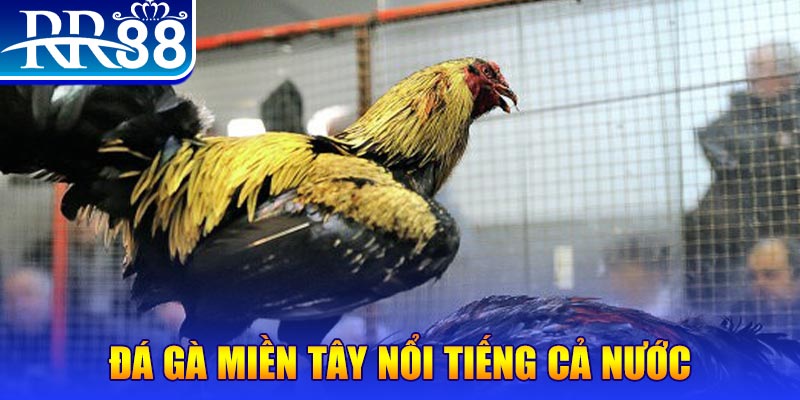 f8bet7 đăng nhập liêng miễn phí