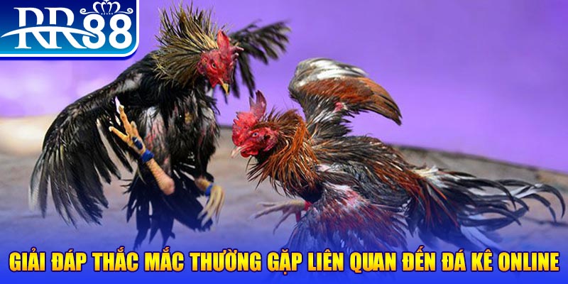 f8bet7 đăng nhập phỏm tặng tiền