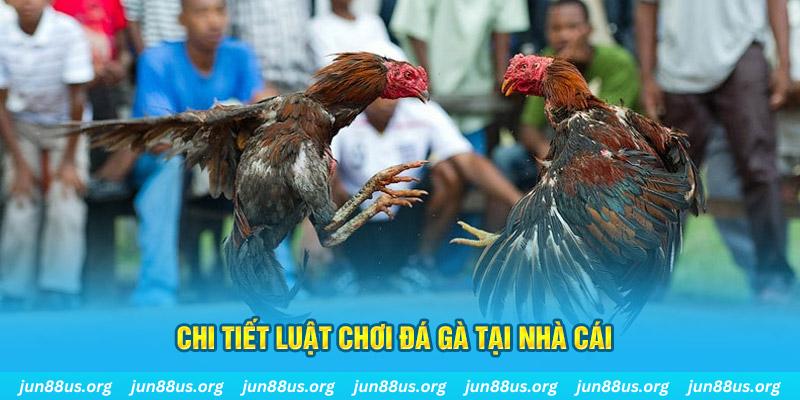 f8bet7 đá gà campuchia