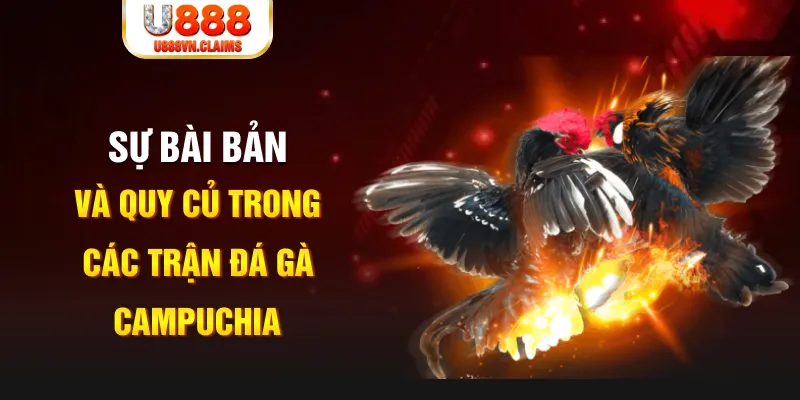 f8bet7 baccarat lừa đảo như thế nào