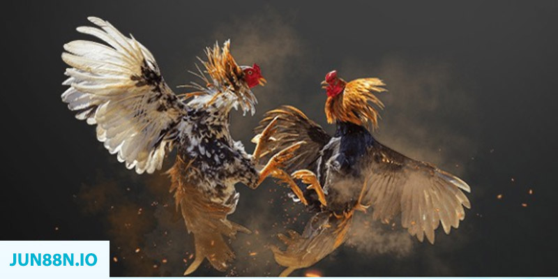 f8bet7 đăng nhập sòng bạc miễn phí